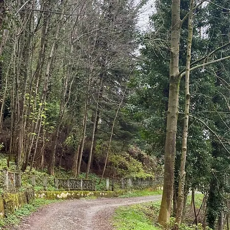 La Ca D'marietta